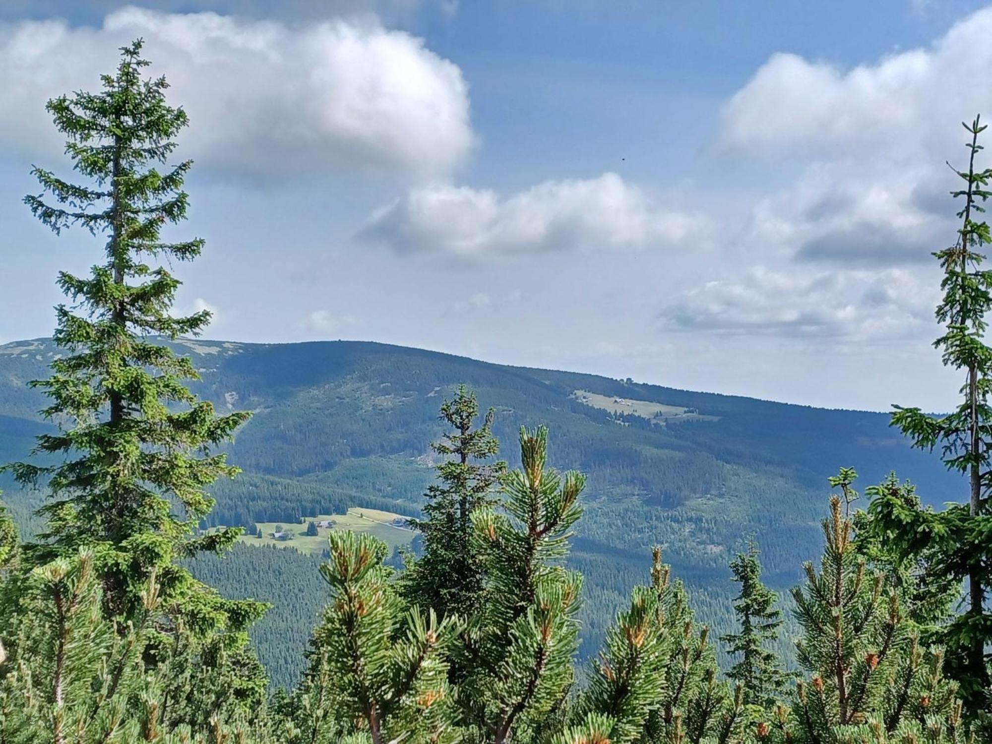 Будинок відпочинку Hill 39 By Interhome
